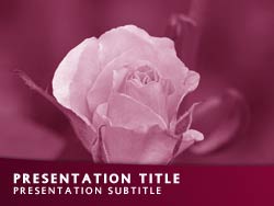 Rose Flower Title Master slide design