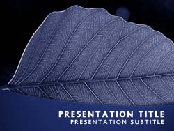 Leaf powerpoint template
Title master powerpoint slide design
