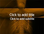 The X-Ray video background for PowerPoint