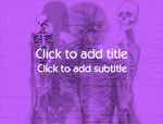 The Human Skeleton video background for PowerPoint