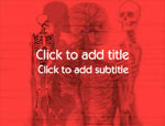 The Human Skeleton video background for PowerPoint