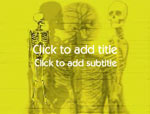 The Human Skeleton video background for PowerPoint