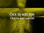 The X-Ray video background for PowerPoint