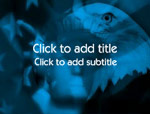 The American Dream video background for PowerPoint