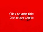 The Digital Flower video background for PowerPoint