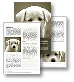 Puppy Dog Word Template