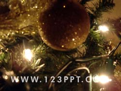 Christmas Tree Decoration 3 Photo Image