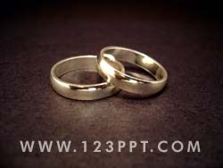 Wedding Rings Photo Image