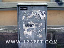 Grafitti Freds Place Photo Image