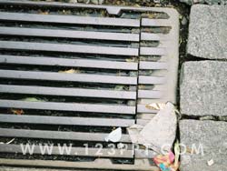Blocked Sewage Drain Photo Image