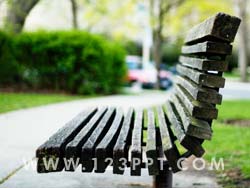 Park Bench Photo Image