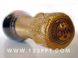 Champagne Bottle Photo Image