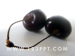 Cherries Photo Image