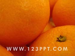 Oranges Photo Image