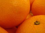 Oranges presentation photo