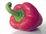 Red Pepper presentation photo