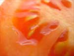 Tomato Slice presentation photo