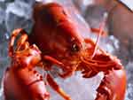 Lobster presentation photo