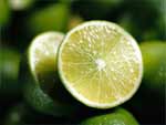 Fruit Lime presentation photo