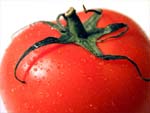 Tomato presentation photo