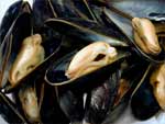 Mussels presentation photo