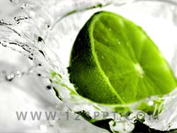 Splash Of Lime Photo Image