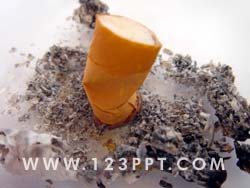 Stump out Cigarette Photo Image