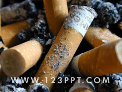 Cigarette Ashtray Photo Image