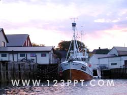 Fishing Trawler Anchored Photo Image