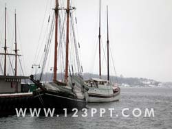 Anchored Sail Boats Photo Image