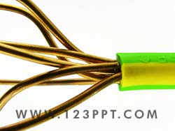Electrical Cable Photo Image