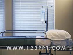 Hospital Bed Photo Image