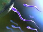 Sperm presentation photo