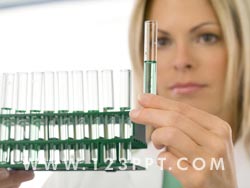 Laboratory Photo Image