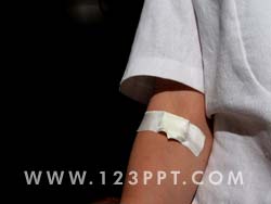 Blood Test Photo Image