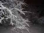 Night Winter Wilderness presentation photo