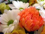 Floral Bouquet presentation photo