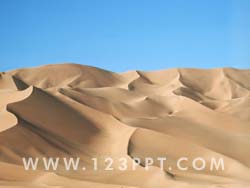 Sahara Desert Sands Photo Image