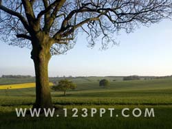 English Countryside Photo Image