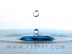 Drop Of Water Photo Image