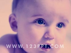 Baby Portrait Photo Image
