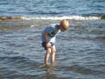 Curious of Fish at the Beach presentation photo