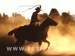 Cowboy Photo Image