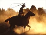 Cowboy presentation photo