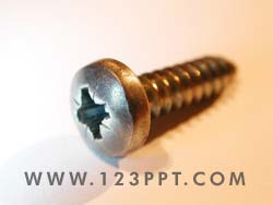 Small Metallic Screw 1 Photo Image