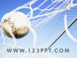 Soccer Goal in the Net Photo Image