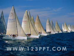 Regatta Yacht Race Photo Image