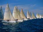 Regatta Yacht Race presentation photo