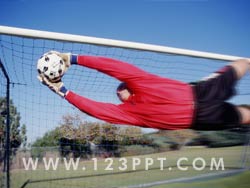 Soccer Goal keeper Photo Image