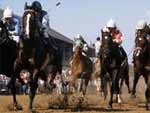 Horse Riding & Jockey presentation photo